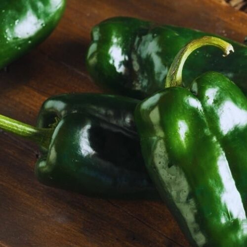 Receta de Salsa de Chile Ancho 1 salsa casera chile ancho mexico 1